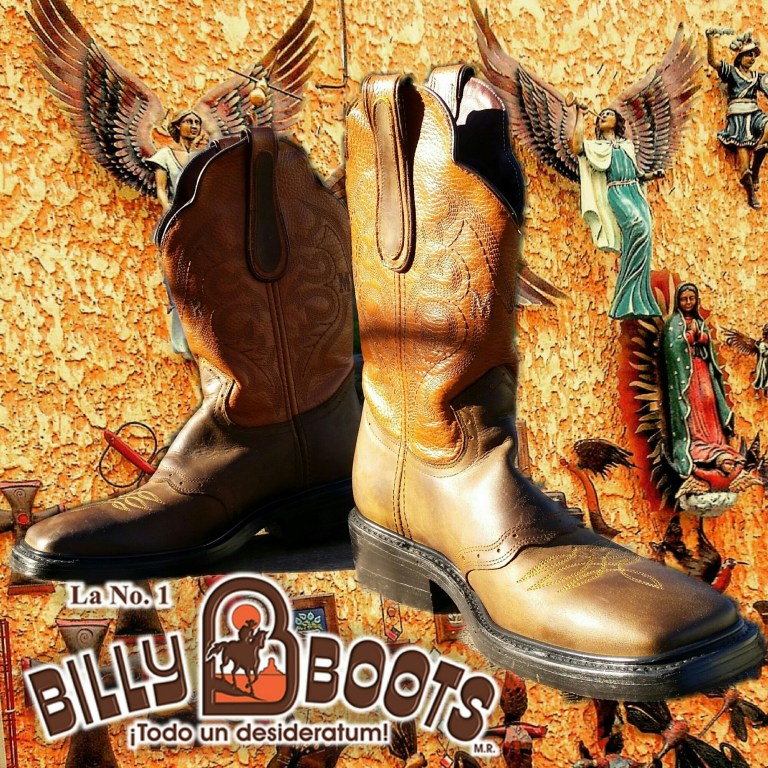 IMG_20160224_095337.jpg image